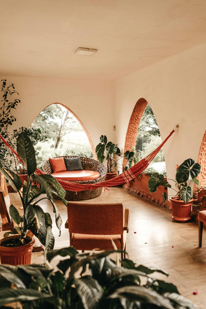 indoor plants